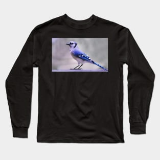 Blue Jay Day Long Sleeve T-Shirt